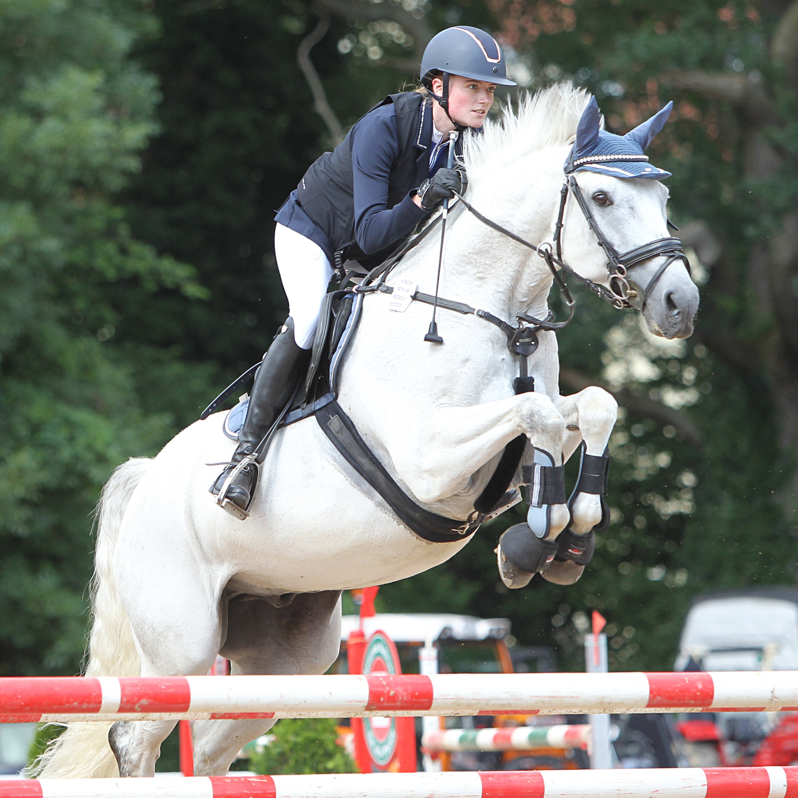 Reiter mit Pferd über Hindernis springend.