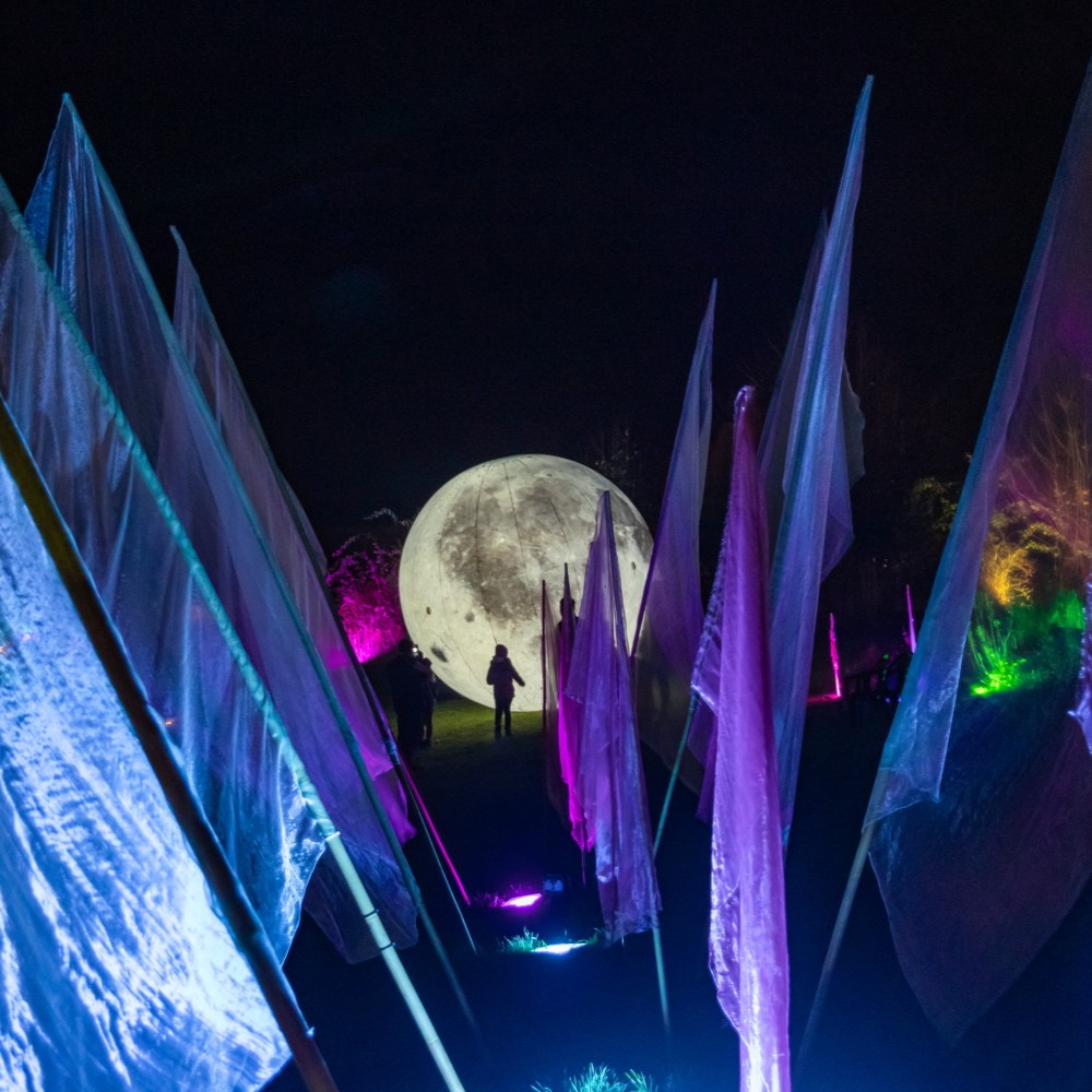 Ein großer Mond leuchtet auf der Wiese im Stadtgarten, davor sind beleuchtete Organzafahnen zu sehen