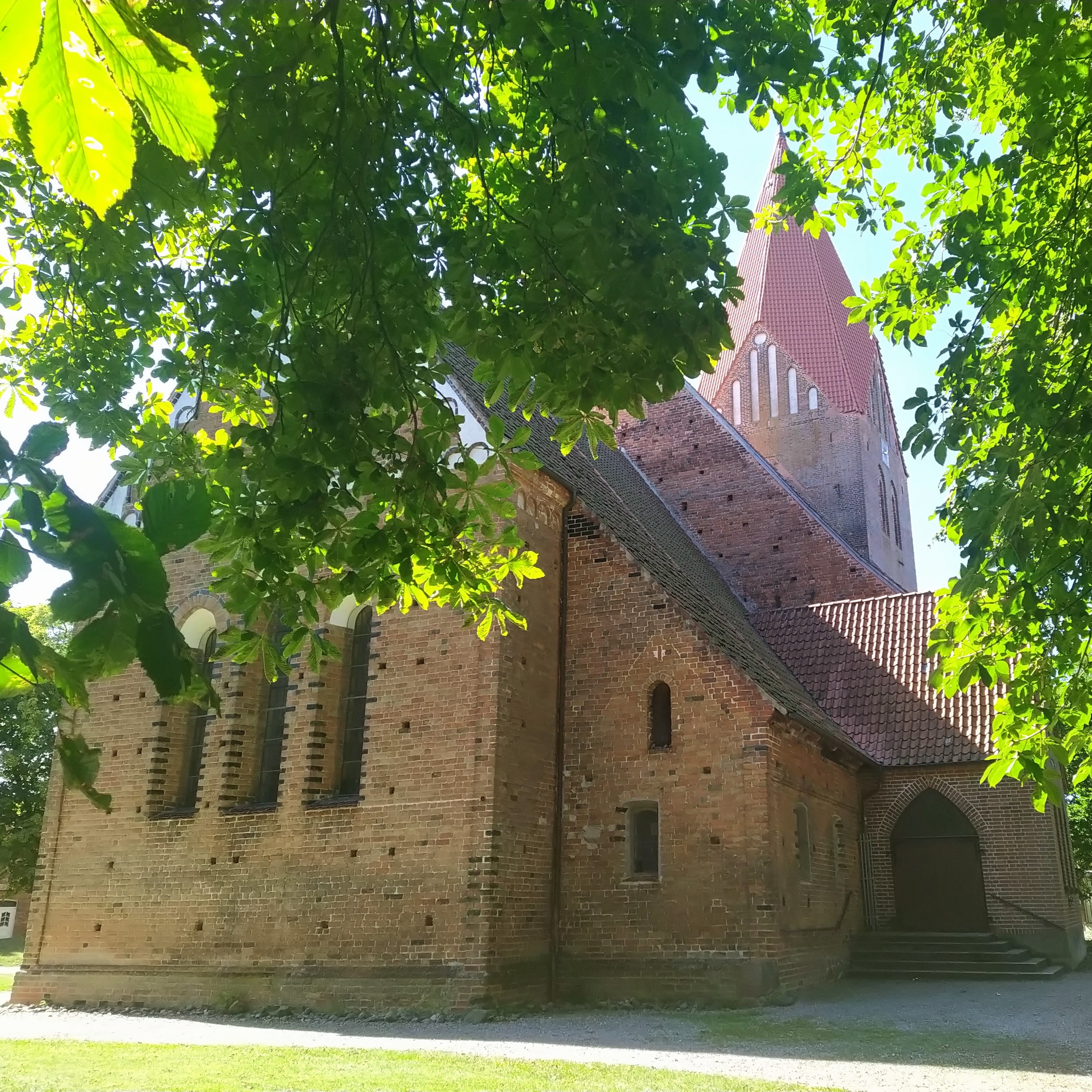 Blick auf St. Marienkirche, im Vordergrund grüne Blätter eines Baums